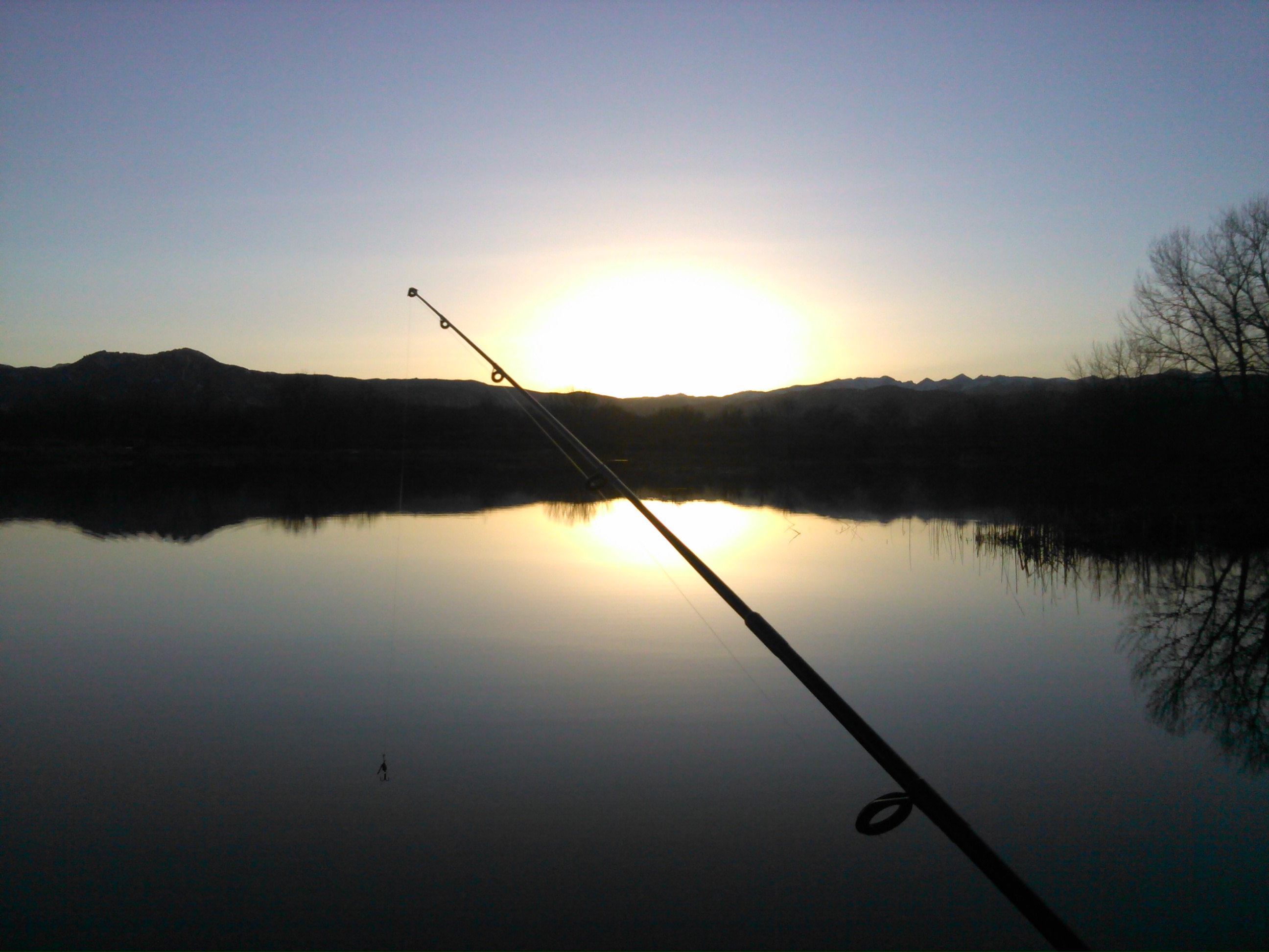 fishing-pole-walden-sawhill-ponds