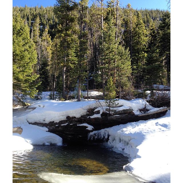 wild-basin-snow-hike