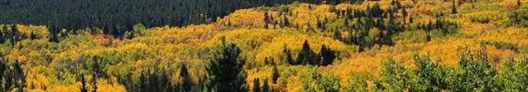 Fall Colors in Brainard Lake Recreation Area