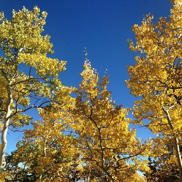 Brainard Lake Recreation Area Fall Color