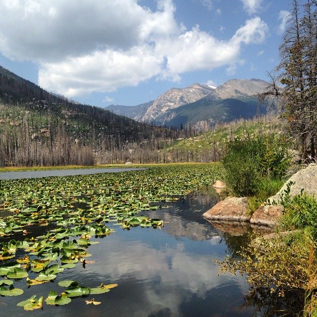 Cub Lake at Rocky Mountain National Park