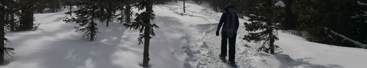 Snowshoeing at Brainard Lake